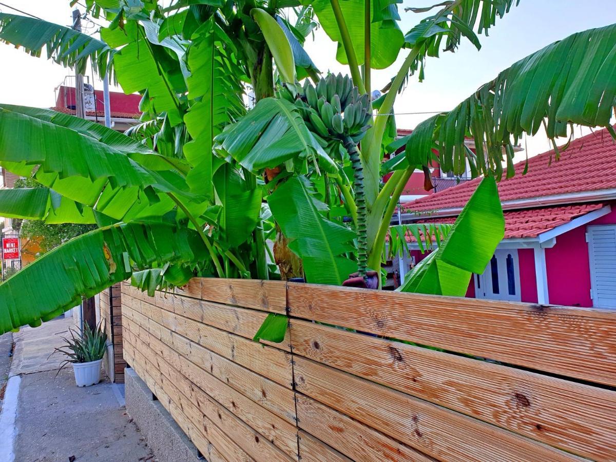 فيلا Aloe House Lakíthra المظهر الخارجي الصورة