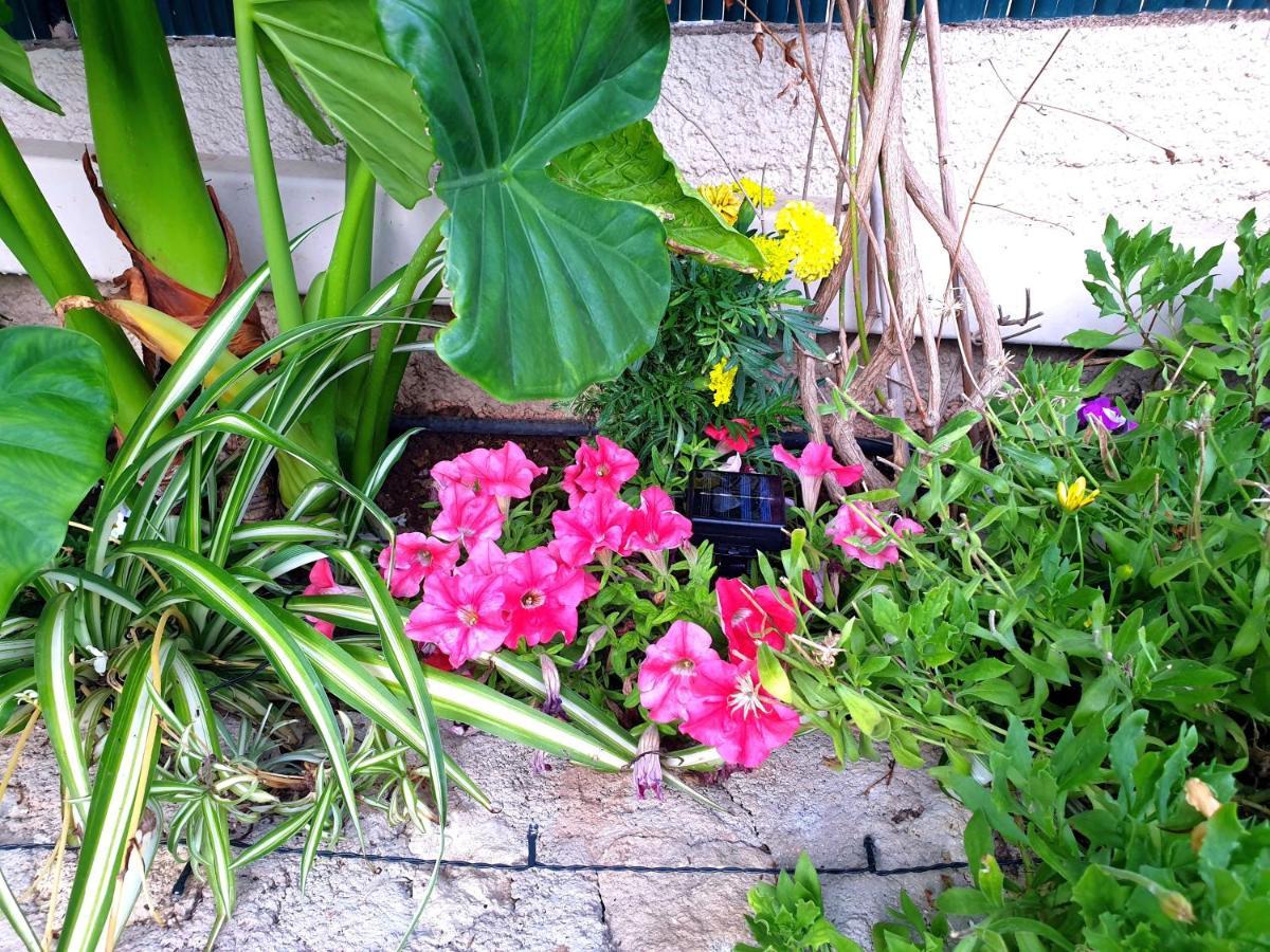 فيلا Aloe House Lakíthra المظهر الخارجي الصورة