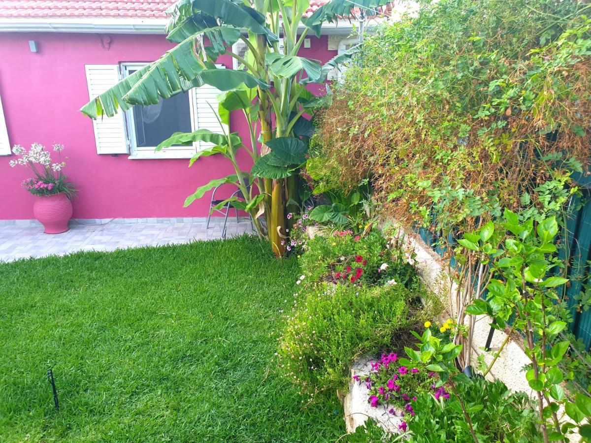 فيلا Aloe House Lakíthra المظهر الخارجي الصورة