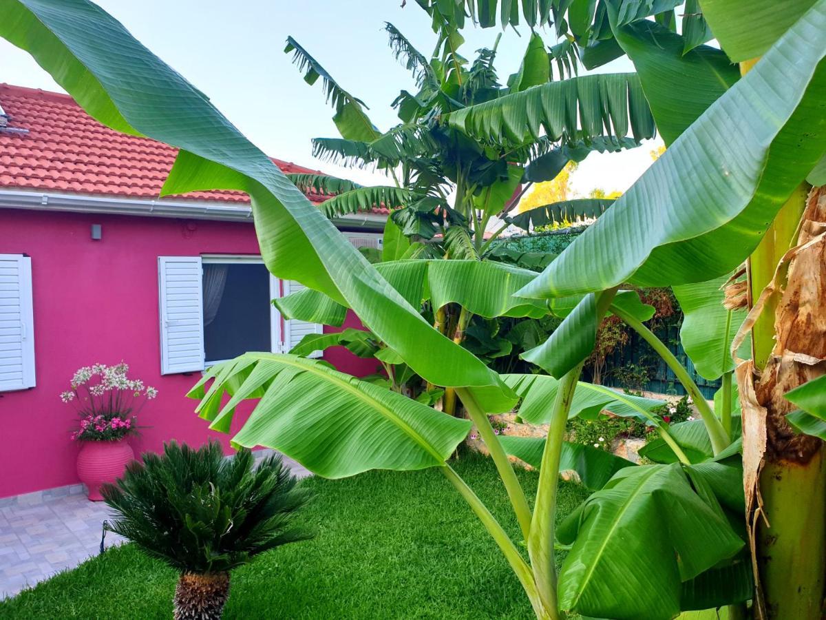 فيلا Aloe House Lakíthra المظهر الخارجي الصورة