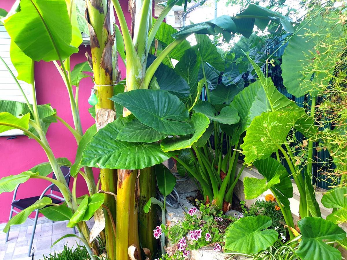 فيلا Aloe House Lakíthra المظهر الخارجي الصورة