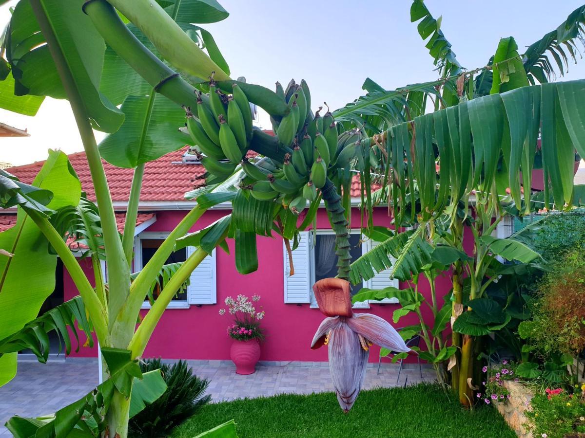 فيلا Aloe House Lakíthra المظهر الخارجي الصورة
