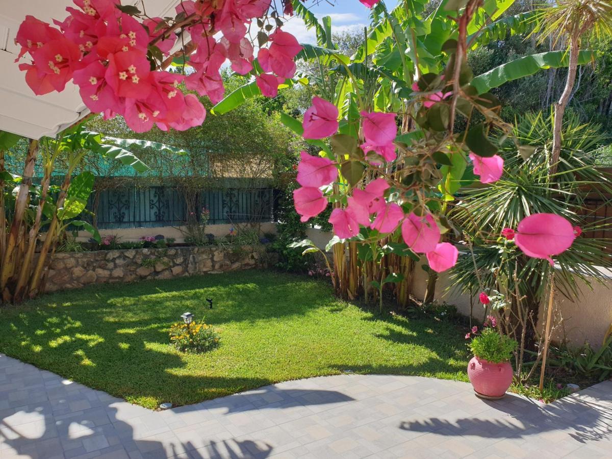 فيلا Aloe House Lakíthra المظهر الخارجي الصورة